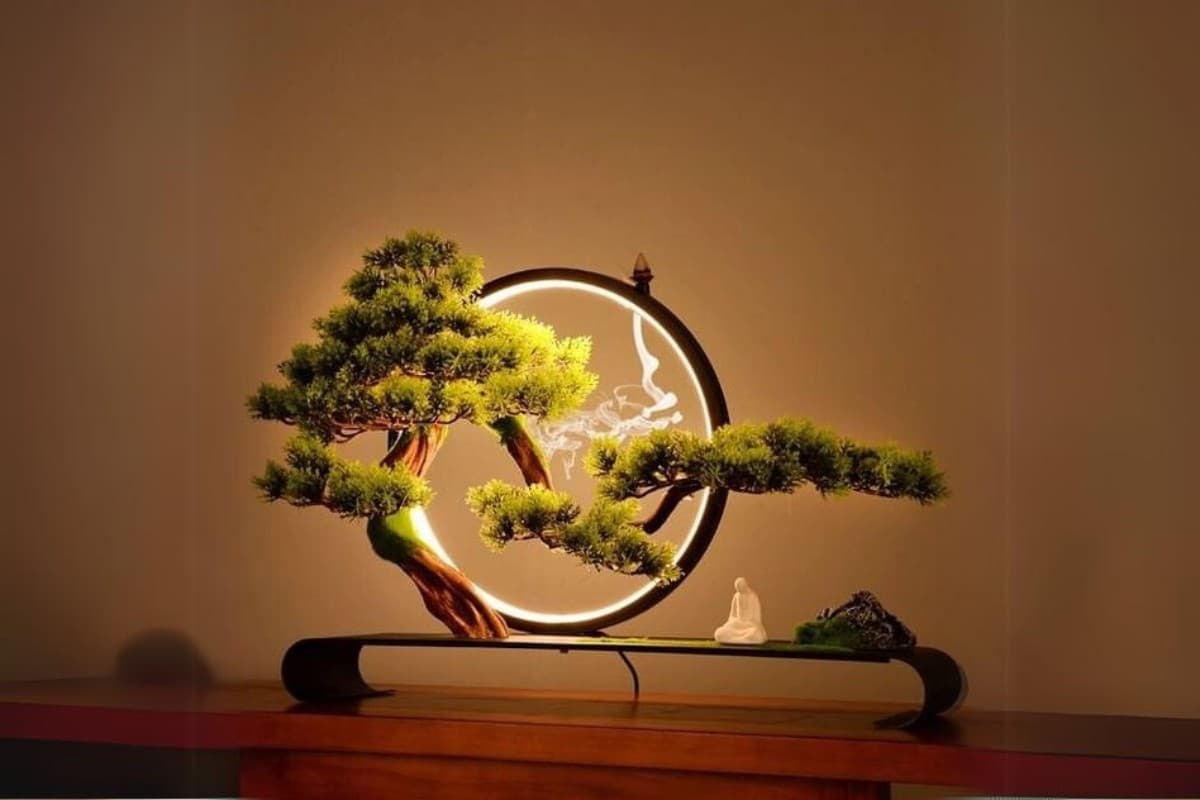 Cây cảnh Bonsai là Gì?