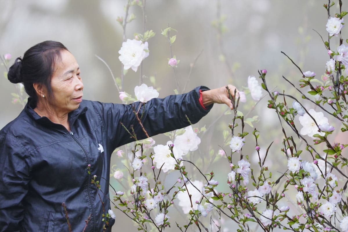 Kiểm soát sâu bệnh